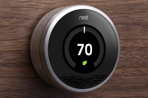 nest
