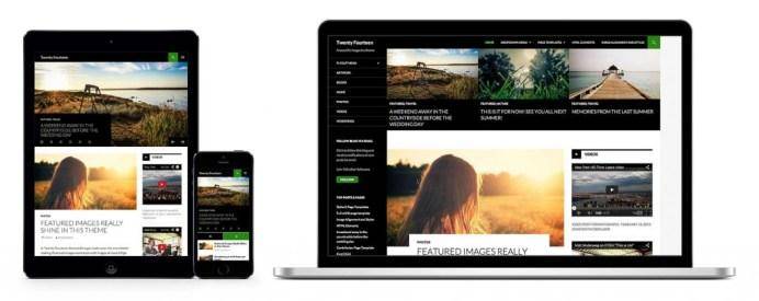 WordPress 2014 Theme
