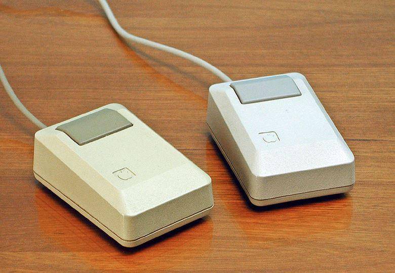 Mice
