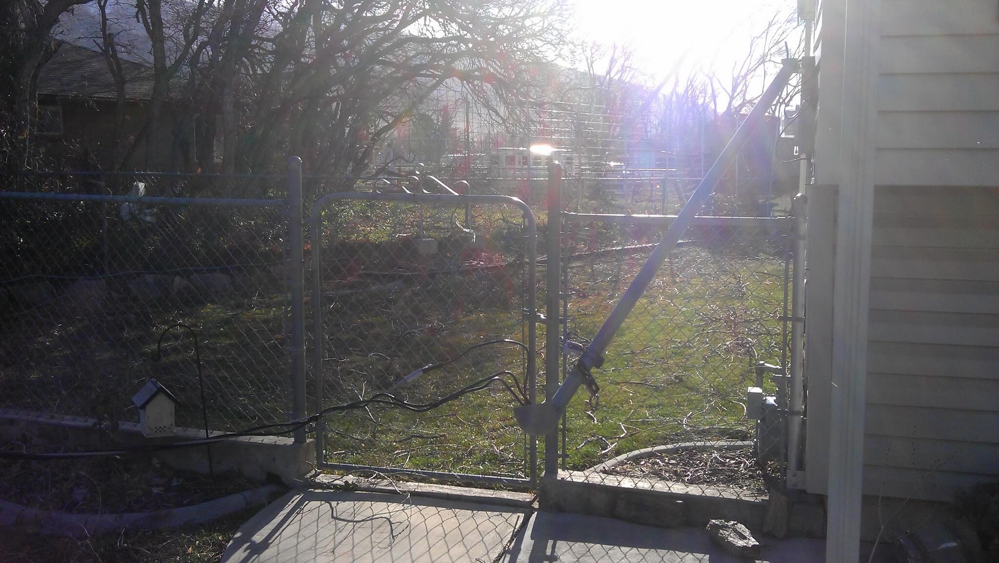 IMAG0546