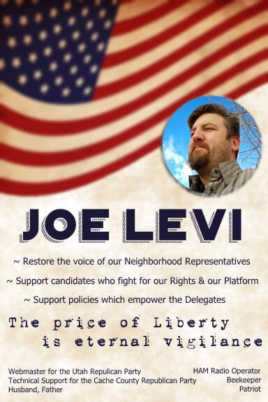 Vote for Joe Levi