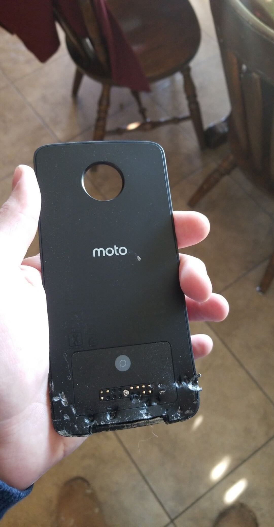Dog ate my new phone