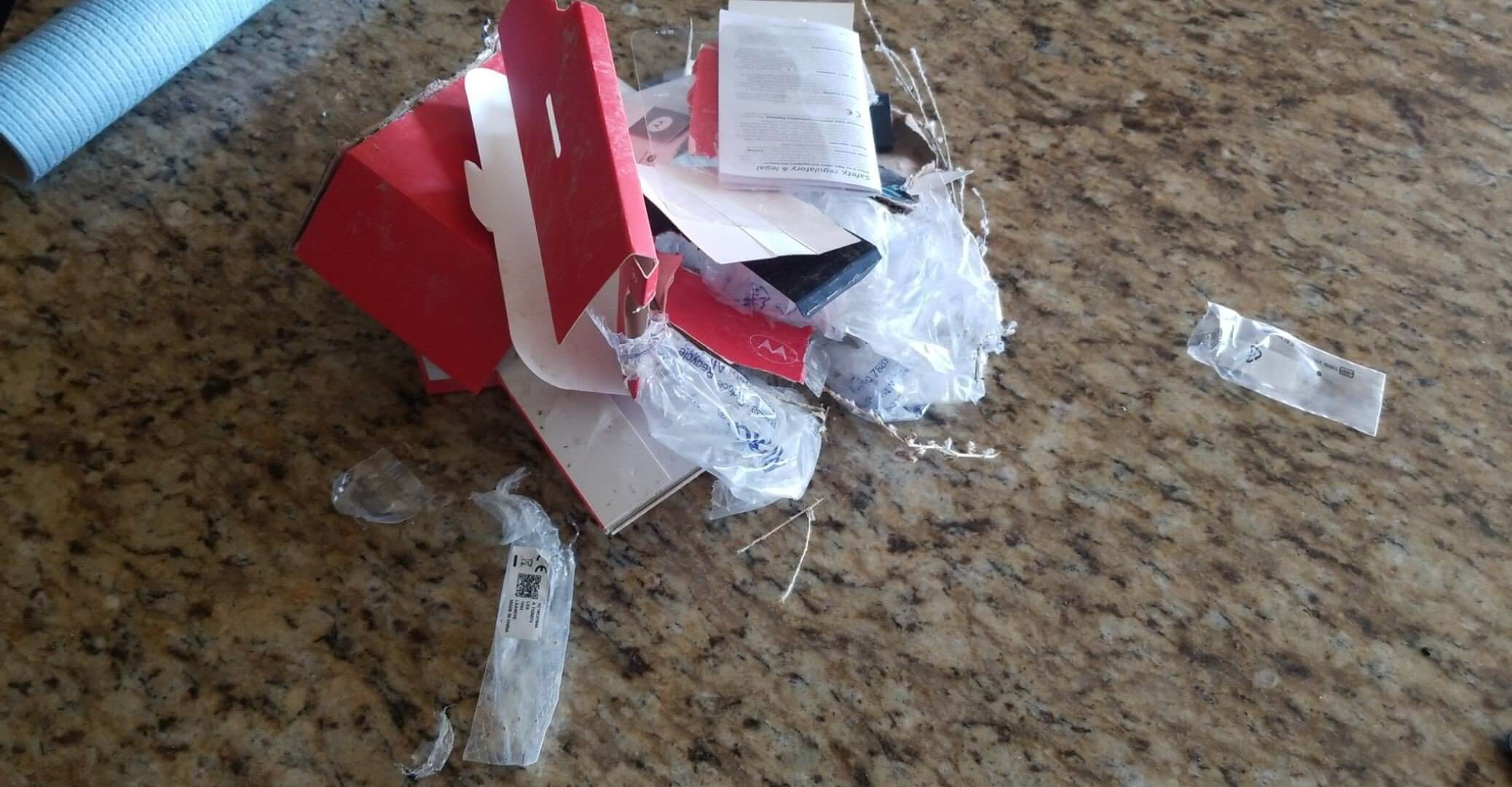 Dog ate my new phone